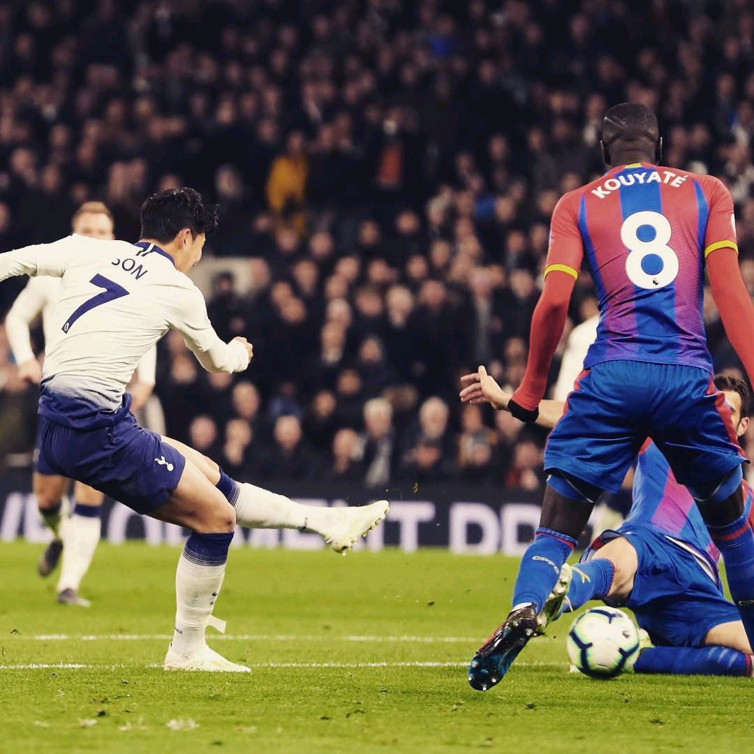 员的续约及 员的续约及